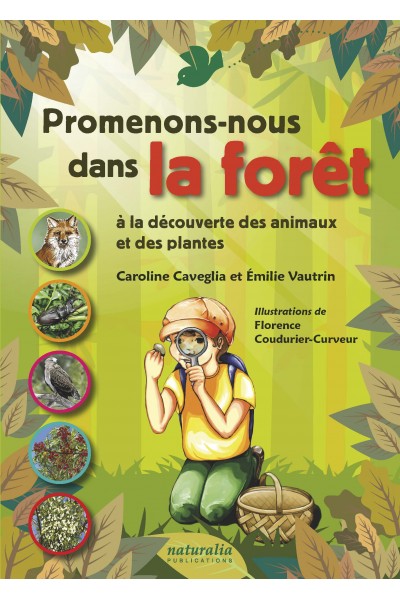 Promenons-nous dans la forêt à la découverte des animaux et des plantes