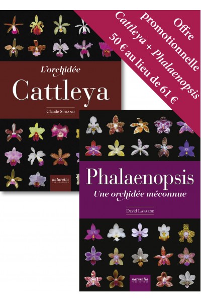 Offre promotionnelle Cattleya + Phalaenopsis