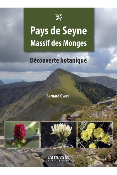 Pays de Seyne, massif des Monges.