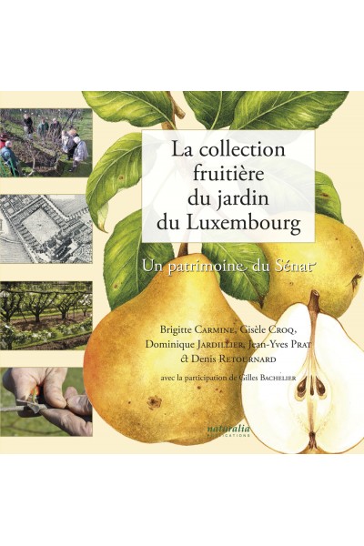 La collection fruitière du jardin du Luxembourg