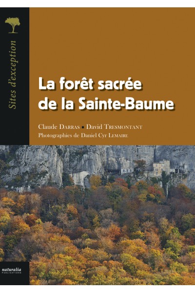 La forêt sacrée de la Sainte-Baume